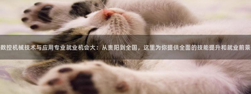 天辰娱乐53551
