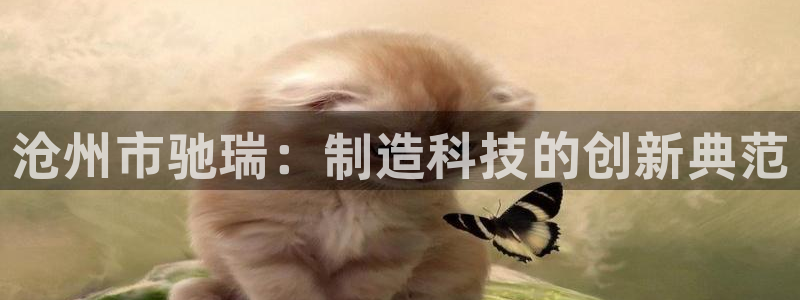 天辰娱乐在线
