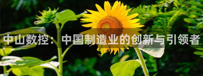 天辰娱乐平台地址