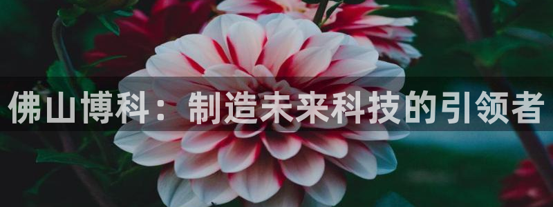 天辰娱乐说