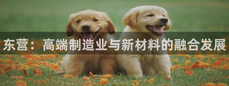 天辰娱乐连接