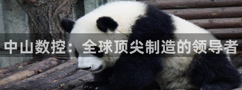 天辰娱乐平台入口