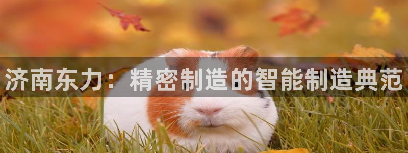 天辰娱乐平台