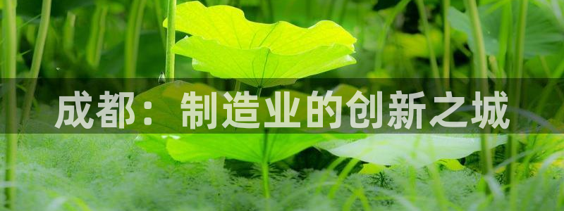 天辰娱乐集团