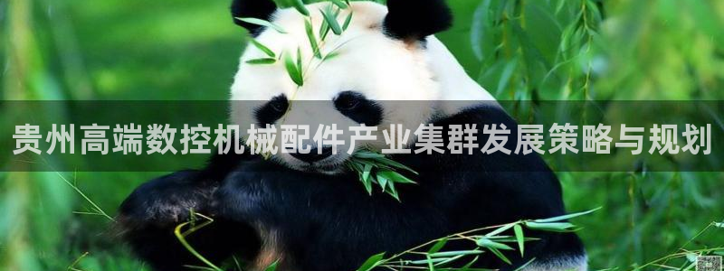 天辰天辰娱乐