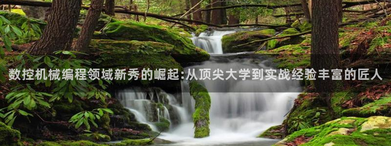 天辰宝宝娱乐
