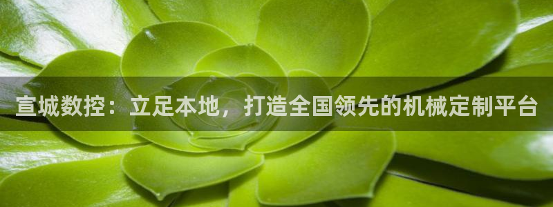 天辰娱乐61116