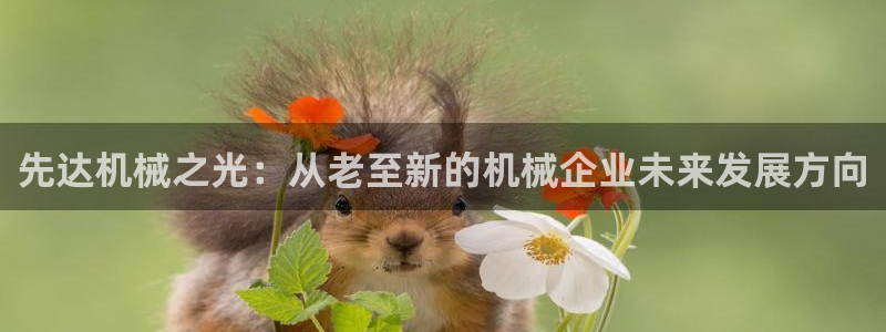 天辰娱乐61116