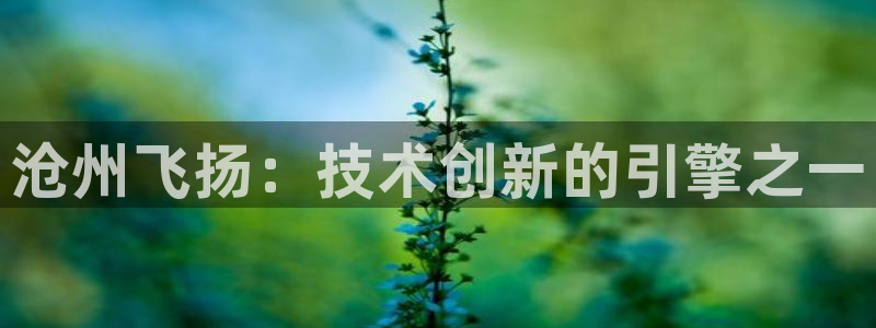 天辰娱乐会员