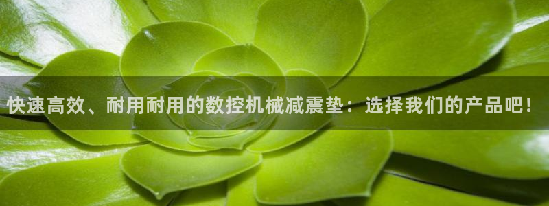 天辰娱乐APP下载