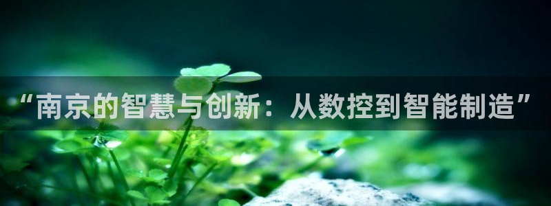 天辰娱乐直属
