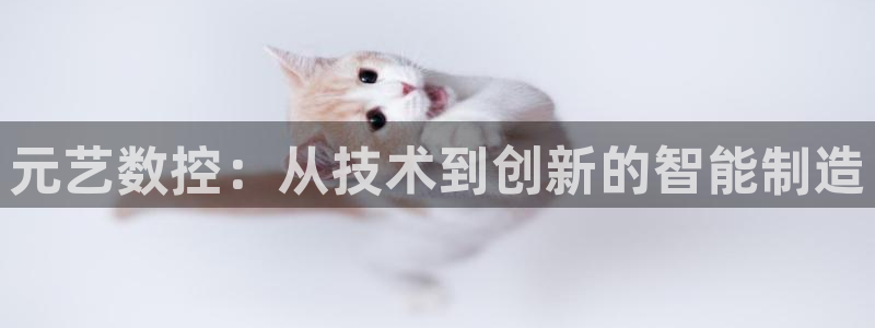 天辰娱乐tff