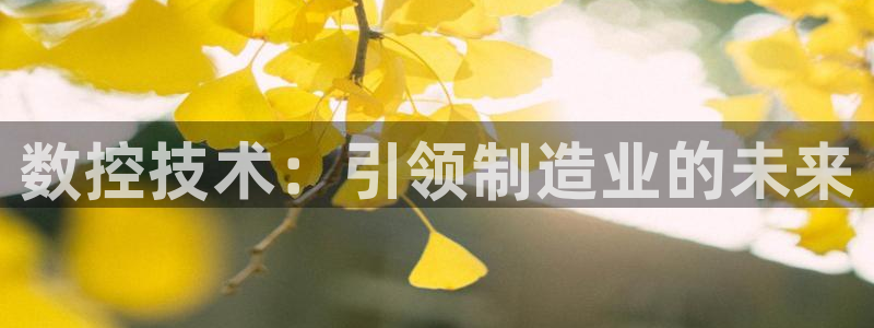 天辰娱乐线路