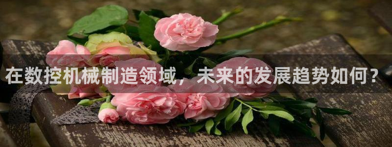 天辰娱乐网
