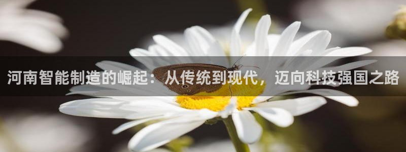 天辰娱乐 231639