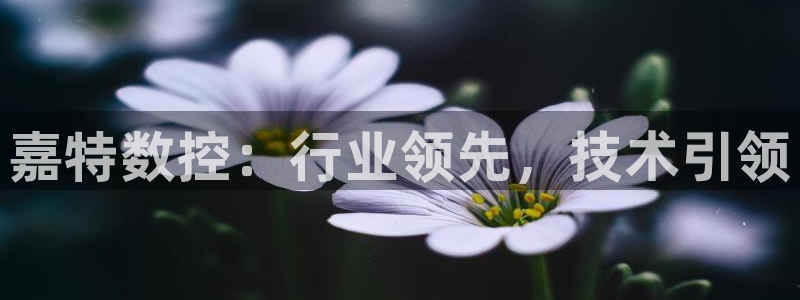 天辰娱乐输了