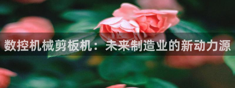 天辰娱乐元宝