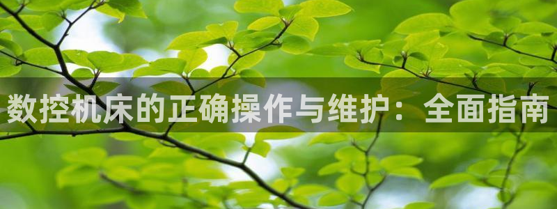天辰娱乐 231639