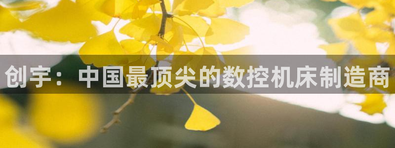 天辰娱乐招商