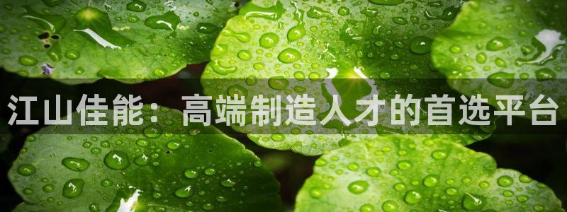 天辰娱乐视频