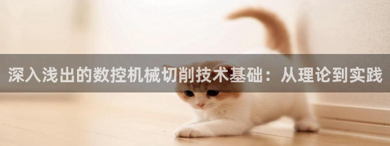 天辰娱乐会员