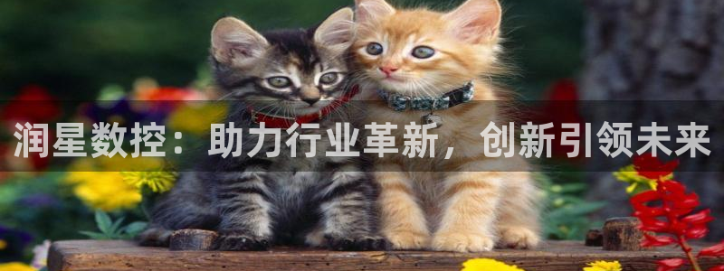 天辰娱乐怎么样