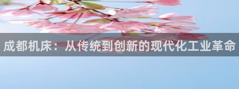 天辰娱乐60447