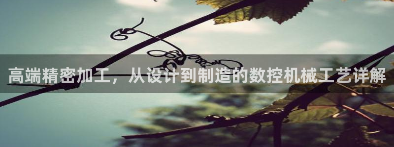 天辰娱乐957807