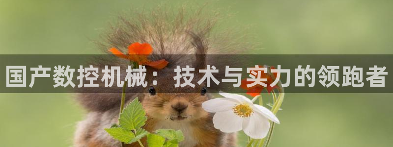 天辰娱乐 849852