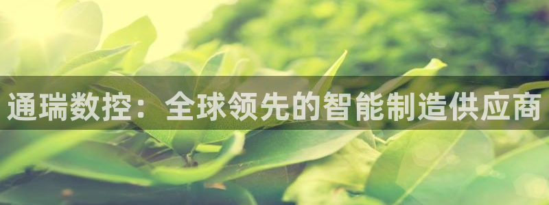 天辰娱乐2