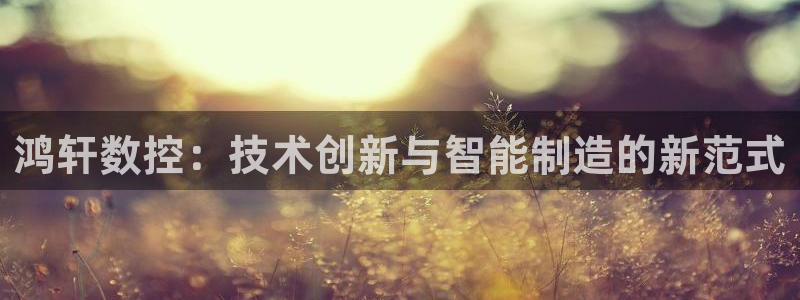 天辰娱乐7天22650：鸿轩数控：技术创新与智能制造的新范式