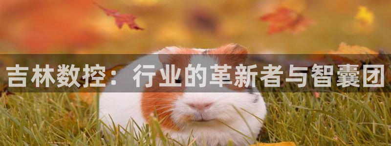 天辰娱乐注册