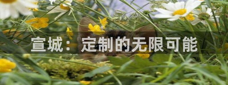 天辰娱乐22650
