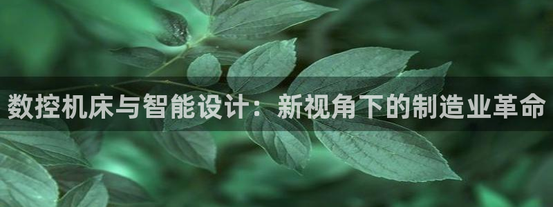 天辰娱乐鱼刺：数控机床与智能设计：新视角下的制造业革命