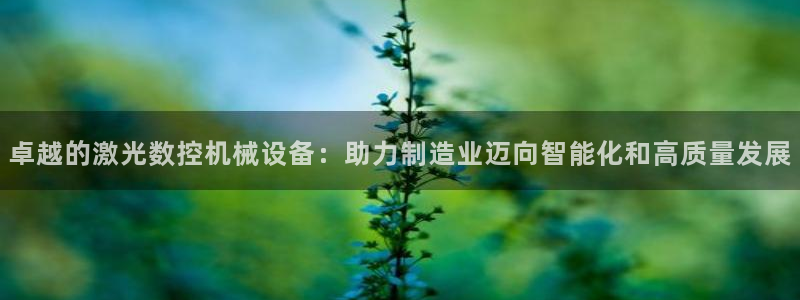天辰娱乐 . 鱼刺