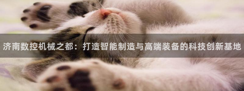 天富娱乐与天辰娱乐