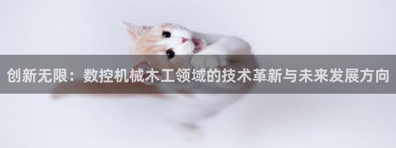 菲律宾天辰娱乐