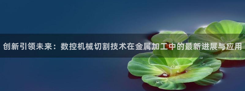 天辰娱乐小妹