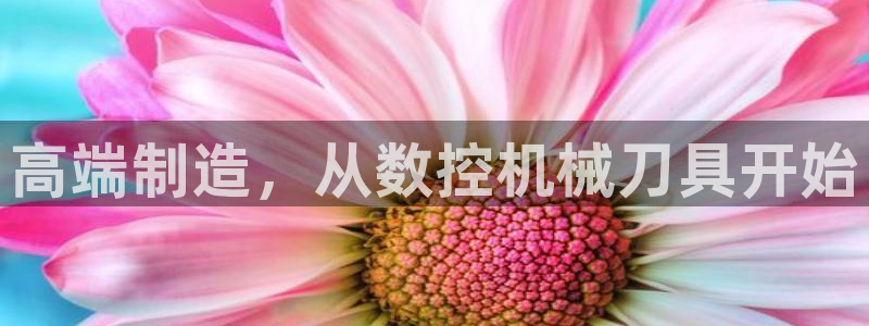 天辰娱乐分红：高端制造，从数控机械刀具开始