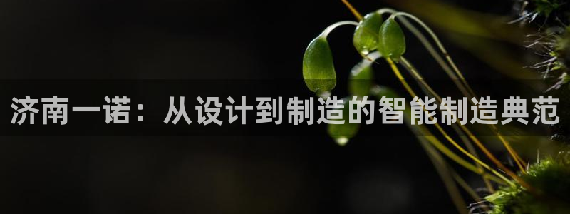 天辰娱乐海洋