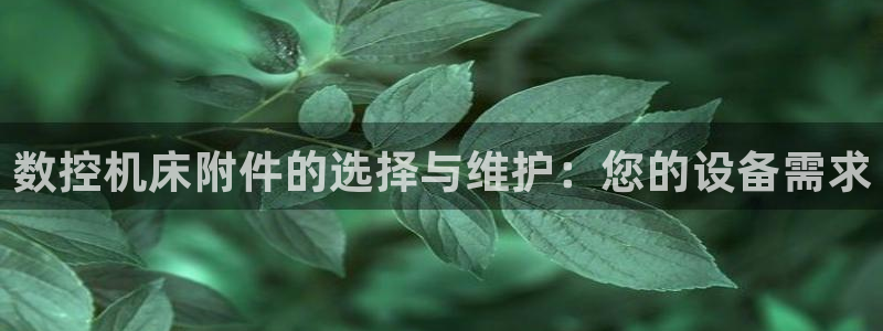 天辰娱乐维护