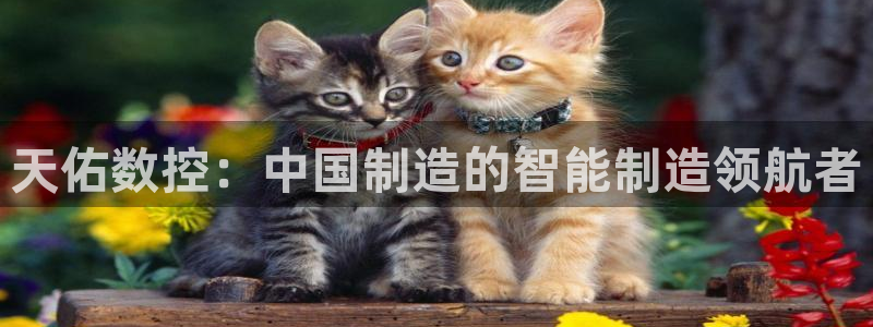 天辰宝宝娱乐：天佑数控：中国制造的智能制造领航者