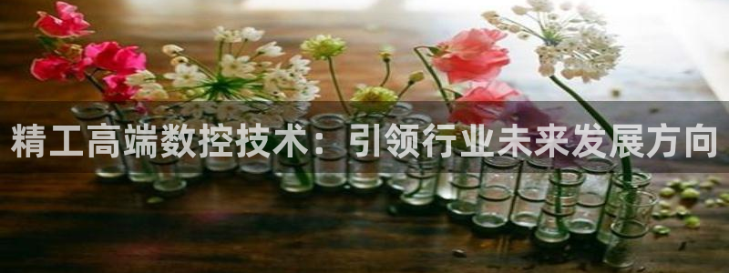 天辰娱乐平台app下载：精工高端数控技术：引领行业未来发展方向