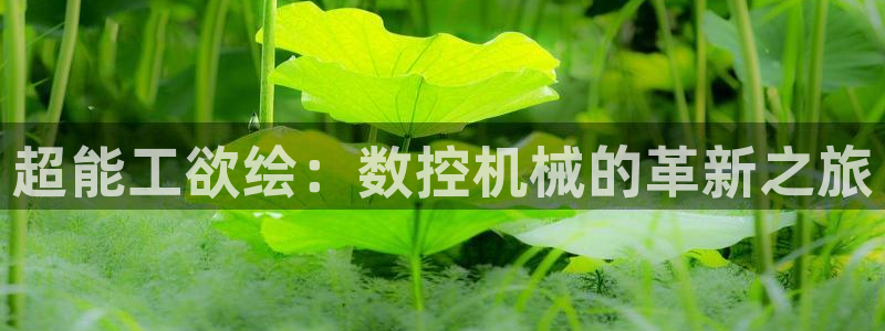 天辰宝宝娱乐