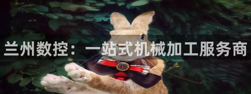 天辰app娱乐