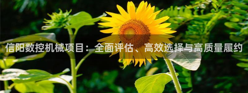 天辰娱乐 注册