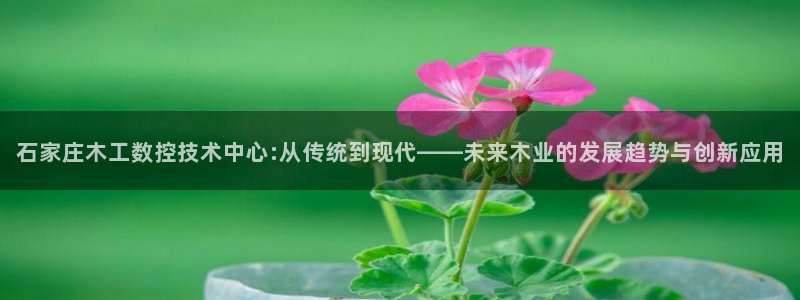 天辰娱乐下载链接：石家庄木工数控技术中心:从传统到现代——未来木业的发展趋势与创新应用