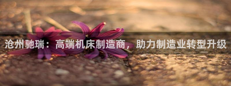 天辰娱乐平台登录账号