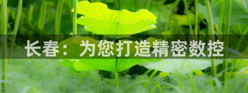 天辰娱乐在线登录注册