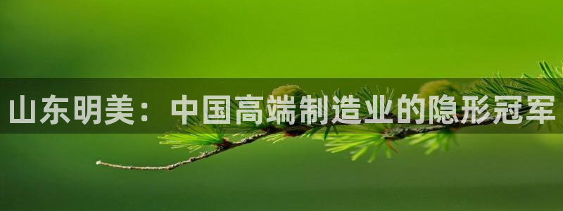 天辰娱乐平台app下载